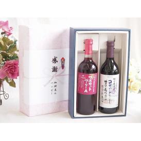 夏の贈り物お中元 感謝の贈り物ボックス 山梨県産葡萄マスカットベーリーA種使用ワインと国産ワイン2本セット(酸化防止剤