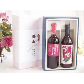 夏の贈り物お中元 感謝の贈り物ボックス 山梨県産葡萄マスカットベーリーA種使用ワインと酸化防止剤無添加ワイン2本セット
