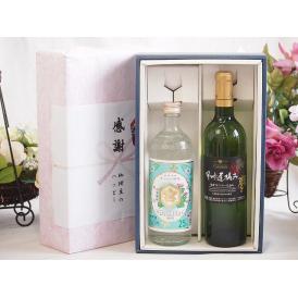 感謝の贈り物ボックス 絶大な人気を誇るキンミヤ焼酎と国産ワイン2本セット(甲州遅摘み 白 完熟甘口ワ