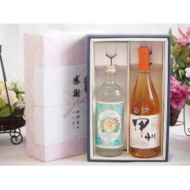 感謝の贈り物ボックス 絶大な人気を誇るキンミヤ焼酎と国産ワイン2本セット(かもし甲州 オレンジワイン