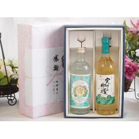 夏の贈り物お中元 感謝の贈り物ボックス 絶大な人気を誇るキンミヤ焼酎と国産ワイン2本セット(実りの収穫 白辛口ワイン 