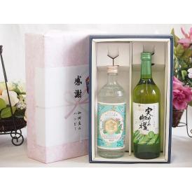夏の贈り物お中元 感謝の贈り物ボックス 絶大な人気を誇るキンミヤ焼酎と国産ワイン2本セット(実りの収穫 白甘口ワイン 