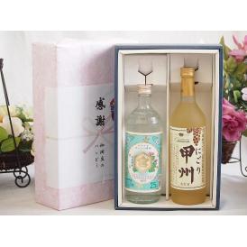 夏の贈り物お中元 感謝の贈り物ボックス 絶大な人気を誇るキンミヤ焼酎と国産ワイン2本セット(にごり甲州 白ワイン やや