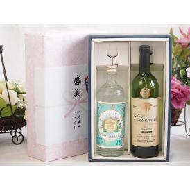 夏の贈り物お中元 感謝の贈り物ボックス 絶大な人気を誇るキンミヤ焼酎と国産ワイン2本セット(グランシャンモリ アッサン