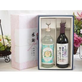 夏の贈り物お中元 感謝の贈り物ボックス 絶大な人気を誇るキンミヤ焼酎と国産ワイン2本セット(酸化防止剤無添加 信州コン