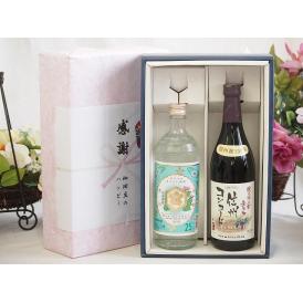 夏の贈り物お中元 感謝の贈り物ボックス 絶大な人気を誇るキンミヤ焼酎と国産ワイン2本セット(酸化防止剤無添加 信州コン