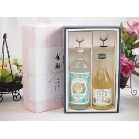 夏の贈り物お中元 感謝の贈り物ボックス 絶大な人気を誇るキンミヤ焼酎と国産ワイン2本セット(信州のナイアガラを使ったワ
