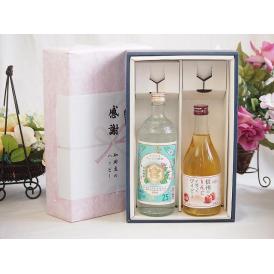 夏の贈り物お中元 感謝の贈り物ボックス 絶大な人気を誇るキンミヤ焼酎と国産ワイン2本セット(信州のりんごを使ったワイン