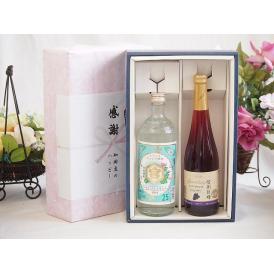 夏の贈り物お中元 感謝の贈り物ボックス 絶大な人気を誇るキンミヤ焼酎と国産ワイン2本セット(信州巨峰スパークリングワイ