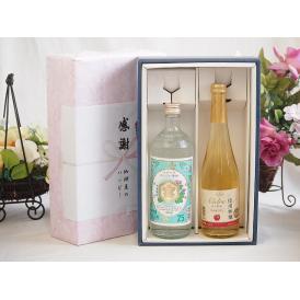 夏の贈り物お中元 感謝の贈り物ボックス 絶大な人気を誇るキンミヤ焼酎と国産ワイン2本セット(信州りんごシードルワインや