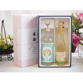 夏の贈り物お中元 感謝の贈り物ボックス 絶大な人気を誇るキンミヤ焼酎と国産ワイン2本セット(信州シャインマスカット＆ナ