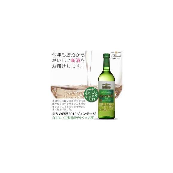 シャンモリ　ヴィンテージ　白ワイン甘口1500ml　【新酒（ワイン）】02