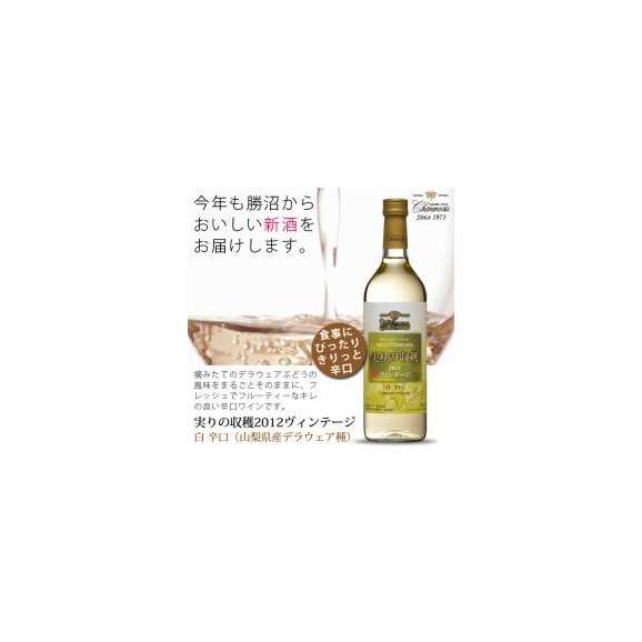 【送料無料12本セット】シャンモリ　ヴィンテージ2014　白ワイン辛口720ml×12本　【まとめて送料無料（ワイン）】02