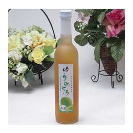 完熟梅の味わいと日本酒のうまみをたっぷりの梅リキュール　うめとろ500ｍｌ　7％奥の松酒造（福島県）　【女性に人気のリキュール】