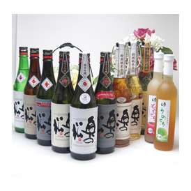 【送料無料11本セット】奥の松酒造　贅沢な日本酒とリキュールスペシャル11本セット （特別純米他8本・うめとろ・ももとろ）720ｍｌ×9本 500ml×2本　[福島県]　【地酒セット】