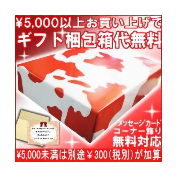 「地域別送料無料」 白玉醸造【魔王】1800ｍｌ＋入手困難！【玉露・本甕仕込】25度1800ｍｌ　ギフト、贈り物に！02