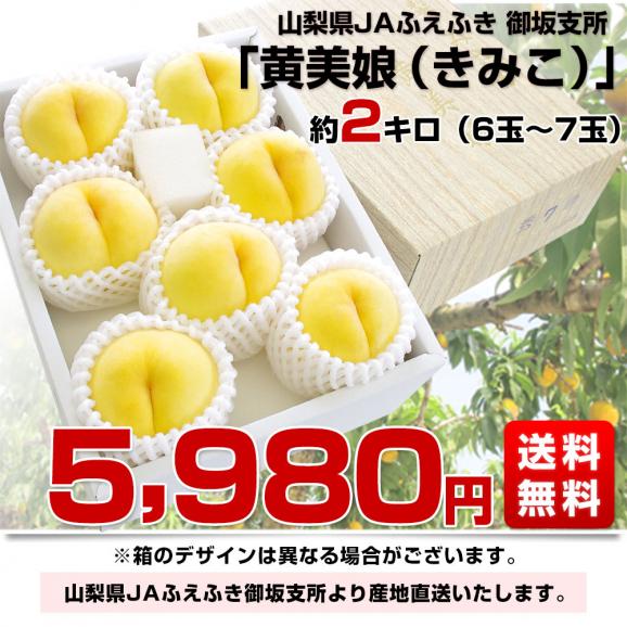 山梨県より産地直送 JAふえふき 御坂の桃 「黄美娘（きみこ）」 約2キロ （６玉から７玉） 送料無料 桃 もも モモ ピーチ ギフト 夏ギフト お中元 御中元03