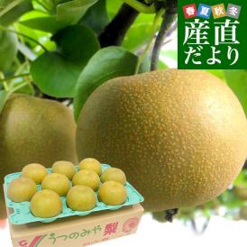 栃木県より産地直送 JAうつのみやの梨 大玉限定 （あきづき）4Lサイズ以上 秀品 約5キロ (7玉から12玉) 送料無料