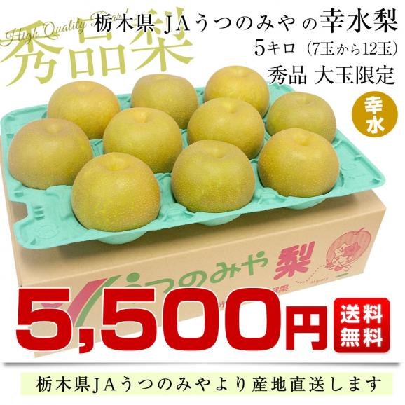 栃木県より産地直送 JAうつのみやの梨 大玉限定 幸水梨4Lサイズ以上 秀品 約5キロ (7玉から12玉) 送料無料 03