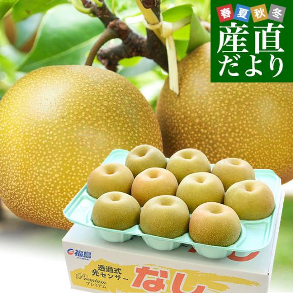 福島県より産地直送 JAふくしま未来の梨 （あきづき）約3キロ（6玉から10玉） 送料無料 なし 梨 ナシ01