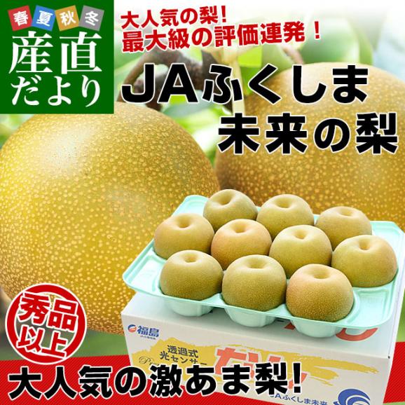 福島県より産地直送 JAふくしま未来の梨 （あきづき）約3キロ（6玉から10玉） 送料無料 なし 梨 ナシ02