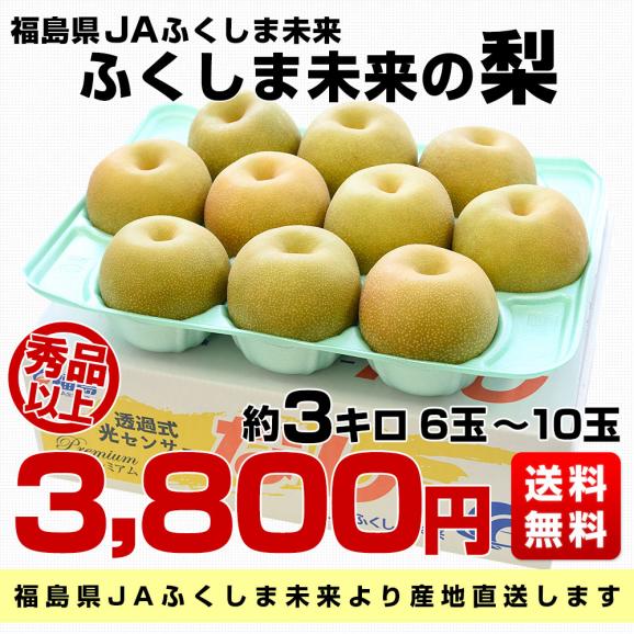 福島県より産地直送 JAふくしま未来の梨 （あきづき）約3キロ（6玉から10玉） 送料無料 なし 梨 ナシ 敬老の日03