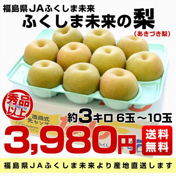福島県より産地直送 JAふくしま未来の梨 （あきづき）約3キロ（6玉から10玉） 送料無料 なし 梨 ナシ03