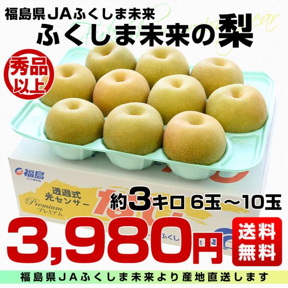 福島県より産地直送 JAふくしま未来の梨 （幸水梨、豊水梨、あきづき）約3キロ（6玉から10玉） 送料無料 なし 梨 ナシ　敬老の日03