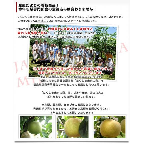 福島県より産地直送 JAふくしま未来の梨 （あきづき）約3キロ（6玉から10玉） 送料無料 なし 梨 ナシ04