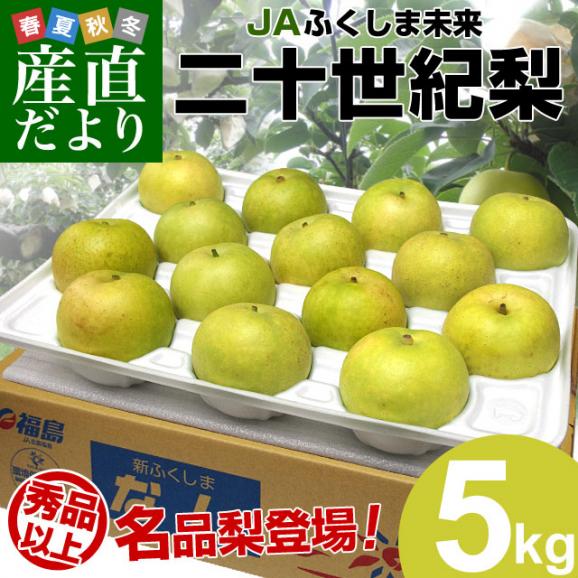 福島県より産地直送 JAふくしま未来 二十世紀梨 秀品 約5キロ (12玉から16玉) 梨 なし送料無料 20世紀なし02
