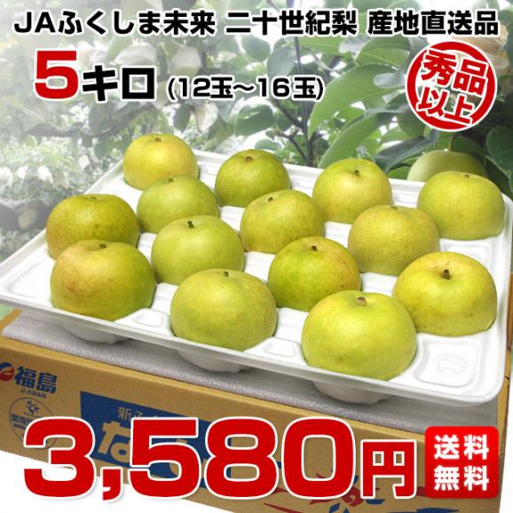 福島県より産地直送 JAふくしま未来 二十世紀梨 秀品 約5キロ (12玉から16玉) 梨 なし送料無料 20世紀なし03