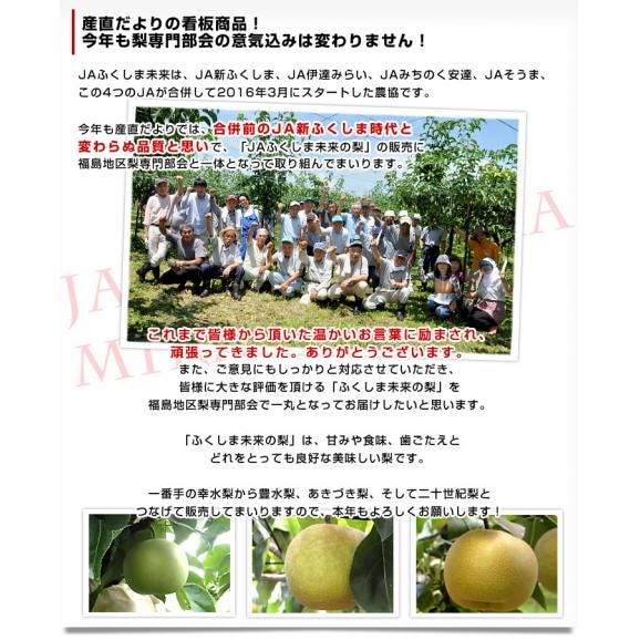 福島県より産地直送 JAふくしま未来 二十世紀梨 秀品 約5キロ (12玉から16玉) 梨 なし送料無料 20世紀なし04
