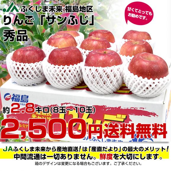 福島県より産地直送 JAふくしま未来「サンふじりんご」秀品 約2.8キロ(8玉から10玉) 送料無料 林檎 リンゴ03