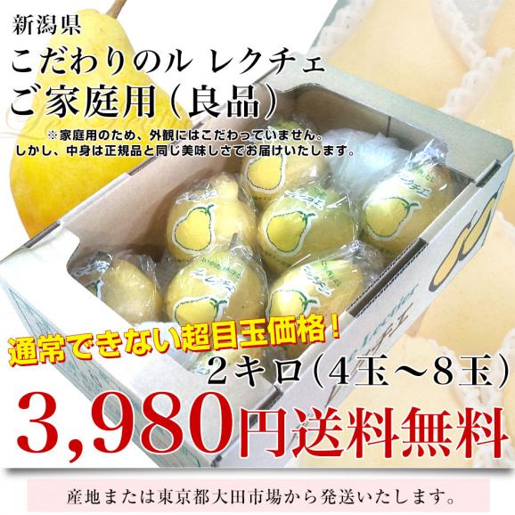 新潟県産  ル レクチェ ご家庭用（良品） 2キロ(4玉から8玉) 送料無料 洋ナシ 洋梨 ル・レクチェ03