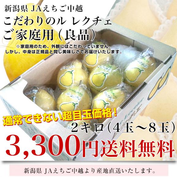 新潟県より産地直送 JAえちご中越 ル レクチェ ご家庭用（良品） 2キロ(4玉から8玉) 洋ナシ 洋梨 ル・レクチェ　冬ギフト　御歳暮 お歳暮 ギフト03