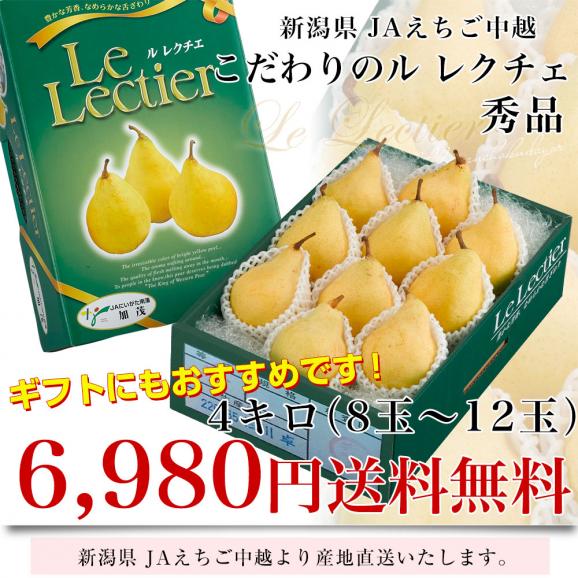 新潟県より産地直送 JAえちご中越 ル レクチェ 秀品 4キロ(8玉から12玉) 洋ナシ 洋梨 ル・レクチェ 冬ギフト 御歳暮 お歳暮 ギフト 送料無料03