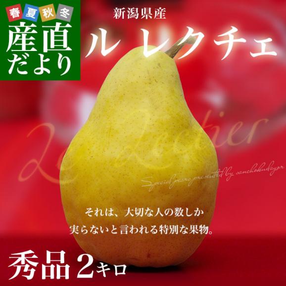 新潟県産  ル レクチェ 秀品 2キロ(4玉から7玉) 洋ナシ 洋梨 ル・レクチェ 冬ギフト 送料無料 お歳暮 ギフト02