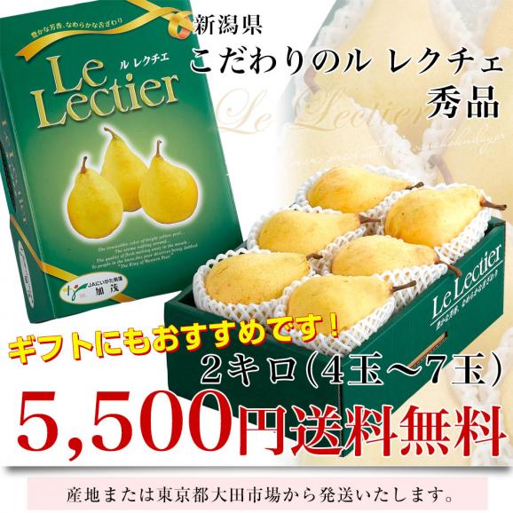 新潟県産  ル レクチェ 秀品 2キロ(4玉から7玉) 洋ナシ 洋梨 ル・レクチェ 冬ギフト 送料無料 お歳暮 ギフト03
