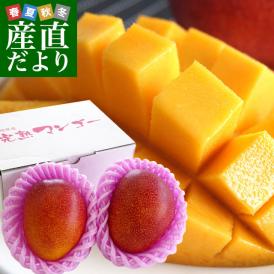 大玉で美味しい宮崎マンゴー!圧倒的美味と感動をお届けします。