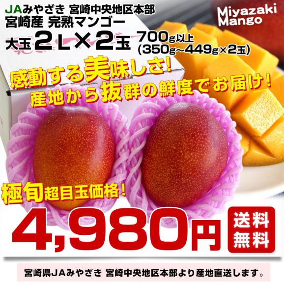 訳あり】宮崎県産完熟マンゴー1.5kg(3玉～5玉) | 宮崎県新富町