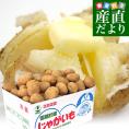 北海道より産地直送 JAとうや湖 雪蔵貯蔵じゃがいも (男爵) Mサイズ 10キロ  送料無料 芋 ジャガイモ 馬鈴薯