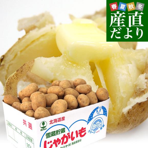 北海道より産地直送 JAとうや湖 雪蔵貯蔵じゃがいも (男爵) Mサイズ 10キロ  送料無料 芋 ジャガイモ 馬鈴薯01