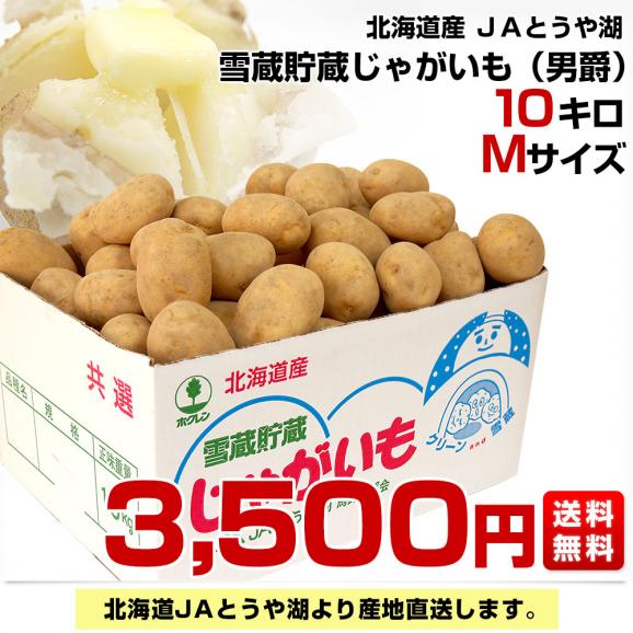 北海道より産地直送 JAとうや湖 雪蔵貯蔵じゃがいも (男爵) Mサイズ 10キロ  送料無料 芋 ジャガイモ 馬鈴薯03