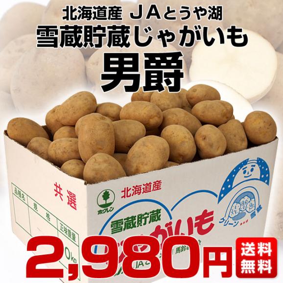 北海道より産地直送 JAとうや湖 雪蔵貯蔵じゃがいも (男爵) Mサイズ 10キロ  送料無料 芋 ジャガイモ 馬鈴薯03