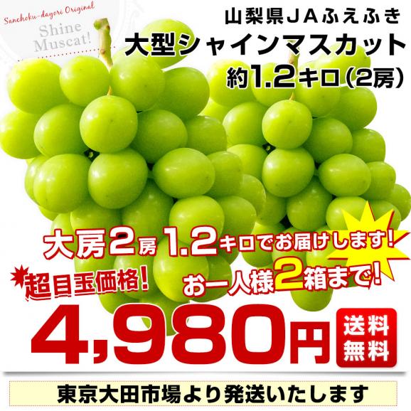 山梨県産　JAふえふき 大型シャインマスカット約1.2キロ（2房）送料無料 ぶどう ブドウ 種なしぶどう  クール便発送03