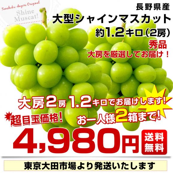 長野県産 大房シャインマスカット 秀品 1.2キロ（大房2房）送料無料