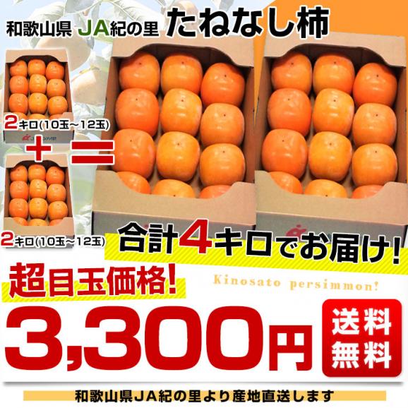 和歌山県より産地直送 JA紀の里 たねなし柿 合計4キロ 2キロ×2箱 (10玉から12玉入り×2箱) カキ かき 柿 送料無料03
