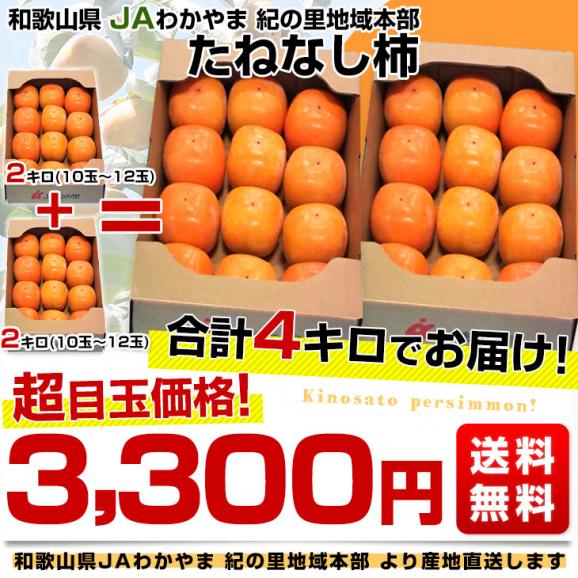 和歌山県より産地直送 JAわかやま 紀の里地域本部 たねなし柿 合計4キロ 2キロ×2箱 (10玉から12玉入り×2箱) カキ かき 柿  送料無料03