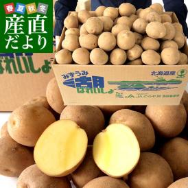 北海道から産地直送 JAとうや湖 じゃがいも 湖ばれいしょ「とうや」 Mサイズ 10キロ 馬鈴薯 ジャガイモ 送料無料