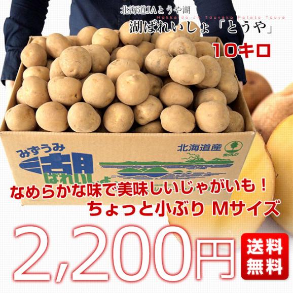 北海道から産地直送 JAとうや湖 じゃがいも 湖ばれいしょ「とうや」 Mサイズ 10キロ 馬鈴薯 ジャガイモ 送料無料03